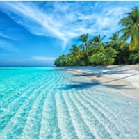 Beach holiday - 13,518 Apartments & Holiday Homes