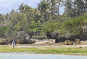 Coast (Kenya)