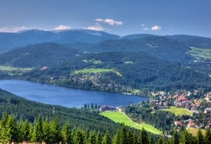 Upper Black Forest