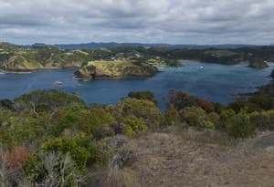 Bay of Islands