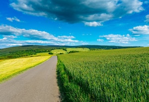 Rheinboellen