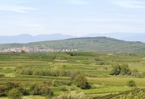 Kaiserstuhl