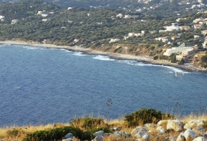 Faro (District)
